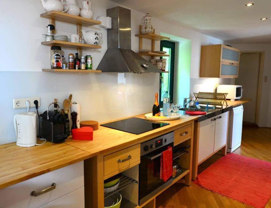 Green Haven Roofgarden Penthouse In Central Area Вена Экстерьер фото